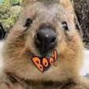 Meet your Posher, Karyn